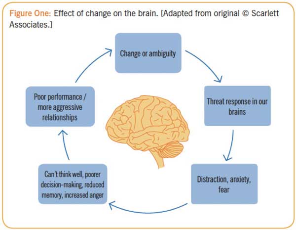 effect of change on the brain
